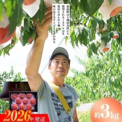 特選福島・東湯野のもも約3kg【2026年発送 先行受付】No.2294