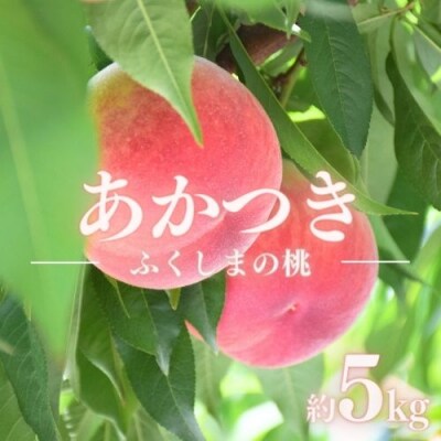 福島のもも「あかつき」約5kg【2025年発送】No.2296