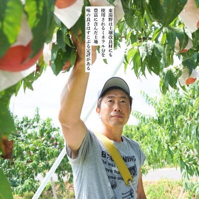 福島のもも「あかつき」約5kg【2026年発送 先行受付】No.2296