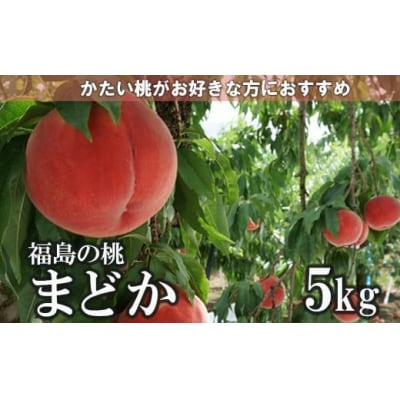 福島のもも「まどか」約5kg【2025年発送】No.2297