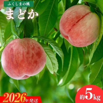 福島のもも「まどか」約5kg【2026年発送 先行受付】No.2297