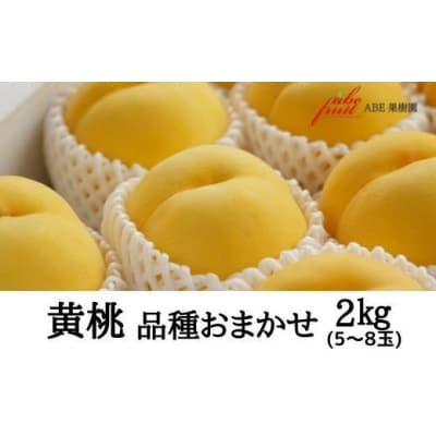 黄桃　品種お任せ約2kg【2025年発送】No.2302