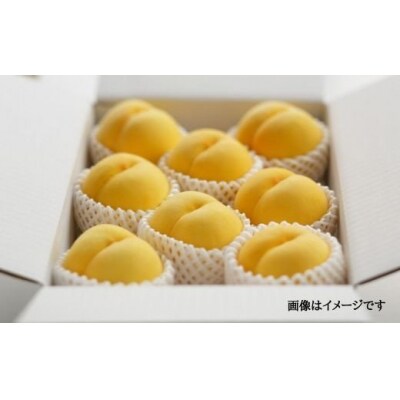 黄桃　品種お任せ約2kg【2025年発送】No.2302