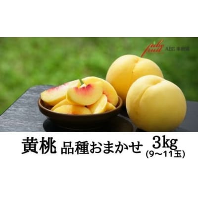 黄桃　品種お任せ約3kg【2025年発送】No.2303