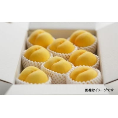 黄桃　品種お任せ約3kg【2025年発送】No.2303