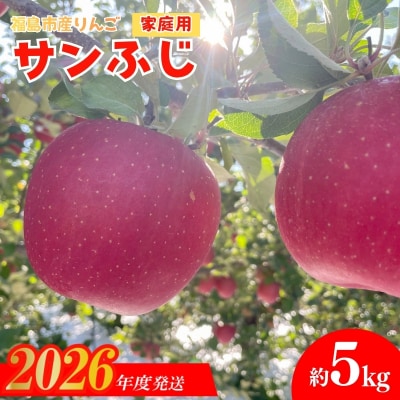  訳あり 葉とらずりんご  サンふじ ご家庭用 約5kg【2026年度発送】No.2437