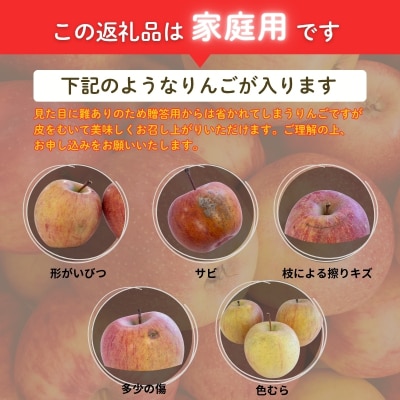  訳あり 葉とらずりんご  サンふじ ご家庭用 約5kg【2026年度発送】No.2437