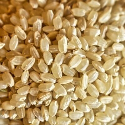 やまろく商店　【令和6年産】有機栽培コシヒカリ 玄米2kgNo.2377