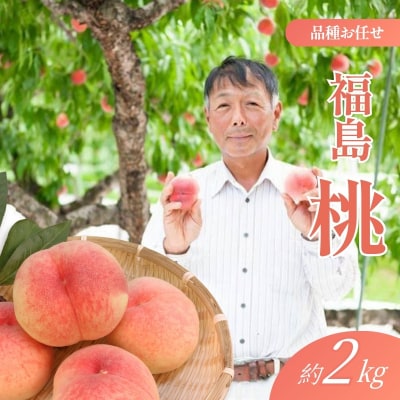 福島 桃 約2kg【2026年発送 先行受付】No.2405