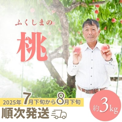 福島 桃　約3kg【2025年発送】No.2406