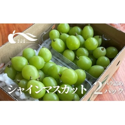 シャインマスカット粒詰2パック入　約1kg【2025年発送】No.2329
