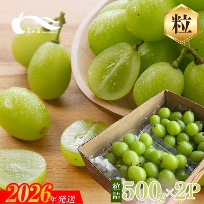 シャインマスカット粒詰2パック入　約1kg【2026年発送】No.2329