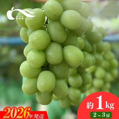 ぶどう(シャインマスカット)(約1kg)【2026年発送】No.2331