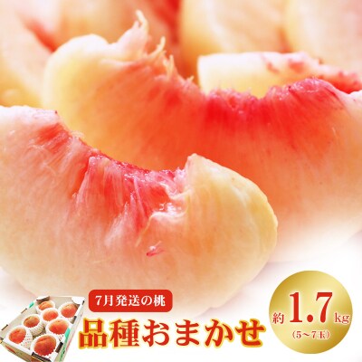 　7月発送の桃 特秀品約1.7kg【2025年発送】No.2421