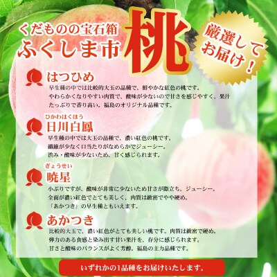 　7月発送の桃 特秀品約1.7kg【2025年発送】No.2421