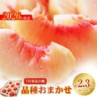 7月発送の桃 特秀品約2.3kg【2026年発送　先行受付】No.2422
