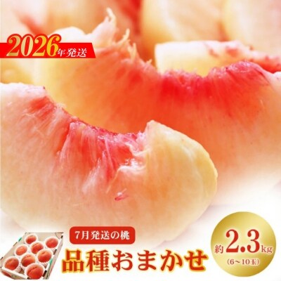 7月発送の桃 特秀品約2.3kg【2026年発送　先行受付】No.2422