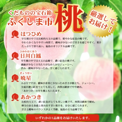 7月発送の桃 特秀品約2.3kg【2026年発送　先行受付】No.2422