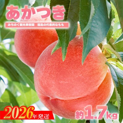 もも「あかつき」贈答用　約1.7kg【2026年発送　先行受付】No.2343