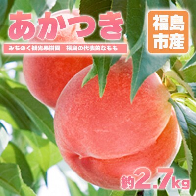 もも「あかつき」贈答用　約2.7kg【2025年発送】No.2344