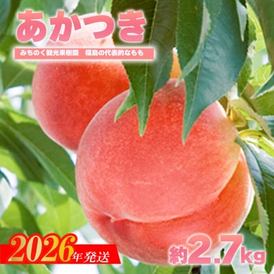 もも「あかつき」贈答用　約2.7kg【2026年発送　先行受付】No.2344