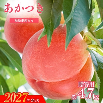 もも「あかつき」贈答用　約4.7kg【2027年発送　先行予約】No.2345