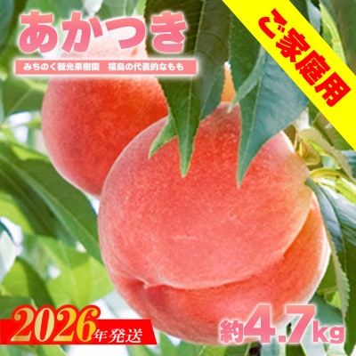 もも「あかつき」ご家庭用　約4.7kg【2026年発送　先行受付】No.2346