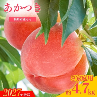 もも「あかつき」ご家庭用　約4.7kg【2027年発送　先行予約】No.2346