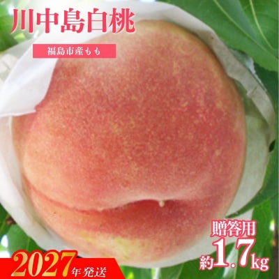 もも「川中島白桃」贈答用　約1.7kg【2027年発送　先行予約】No.2347