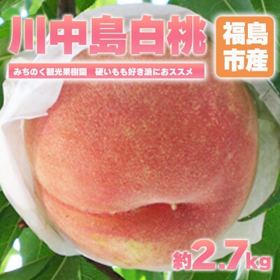 もも「川中島白桃」贈答用 約2.7kg【2025年発送】No.2348