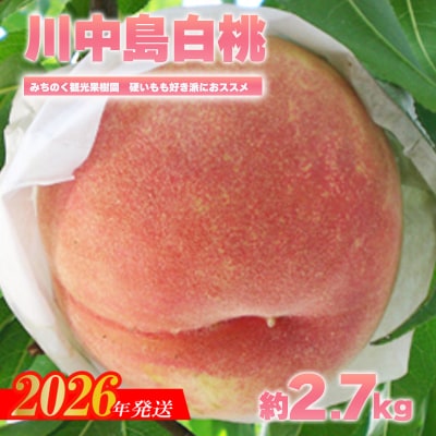 もも「川中島白桃」贈答用　約2.7kg【2026年発送　先行受付】No.2348