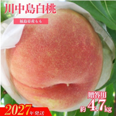 もも「川中島白桃」贈答用　約4.7kg【2027年発送　先行予約】No.2349