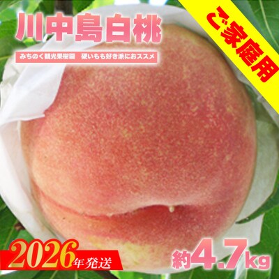 もも「川中島白桃」ご家庭用　約4.7kg【2026年発送　先行受付】No.2350