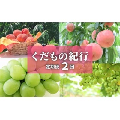 【全2回】くだもの紀行定期便【2025年発送】No.2452