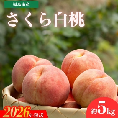 もも　「さくら白桃」約5kg【2026年発送 先行受付】No.2321