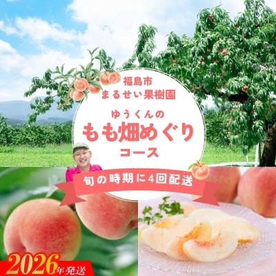 まるせい果樹園 【定期便4回】ゆうくんのもも畑めぐりコース【2026年発送 先行受付】No.2365
