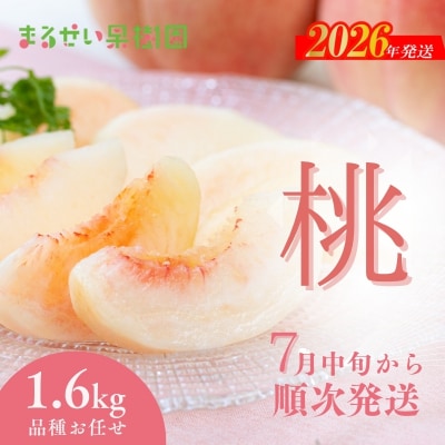 まるせい果樹園　桃品種お任せ約1.6kg【2026年発送 先行受付】No.2368