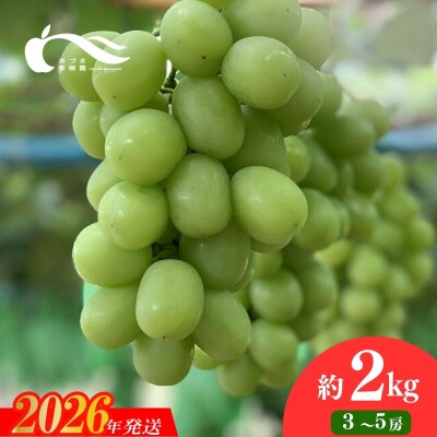 ぶどう(シャインマスカット)(約2kg)【2026年発送】No.2334