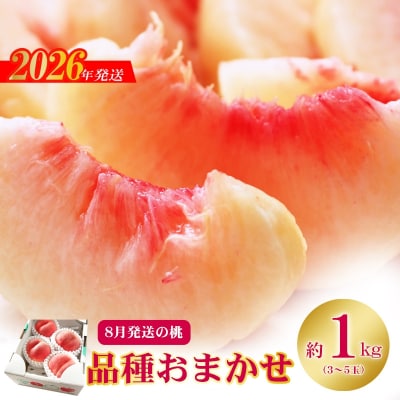 8月発送の桃 品種お任せ　特秀品約1kg【2026年発送　先行受付】No.2436