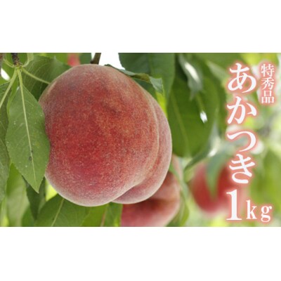 菅野房吉商店　福島の桃「あかつき」特秀品 1kg【2023年発送】No.2434