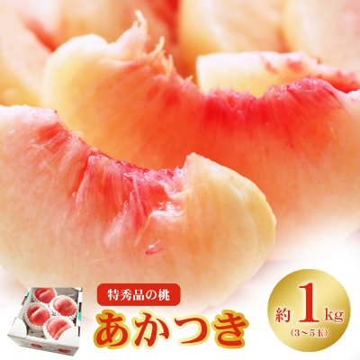 もも「あかつき」特秀品約1kg【2026年発送　先行受付】No.2434