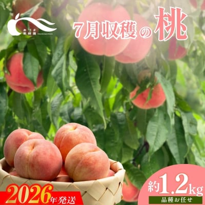 もも　7月収穫の桃　約1.2kg【2026年発送】No.2327