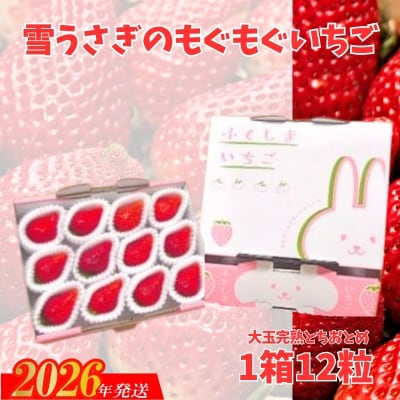 【大粒完熟とちおとめ 】雪うさぎのもぐもぐいちご 1箱12個入りNo.2477