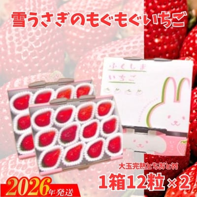 【大玉完熟とちおとめ 】雪うさぎのもぐもぐいちご 1箱12玉×2 No.2478