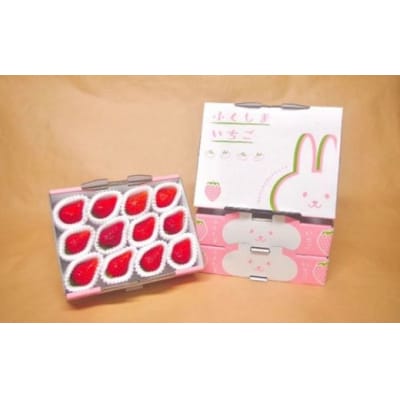 【大玉完熟とちおとめ 】1箱12玉×2箱No.2478