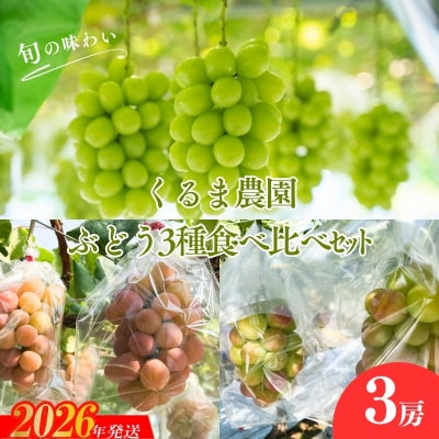 くるま農園　シャインマスカットとぶどう2種(全3房)【2026年発送　先行受付】No.2504
