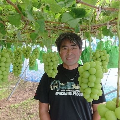くるま農園　シャインマスカットとぶどう2種(全3房)【2026年発送　先行受付】No.2504
