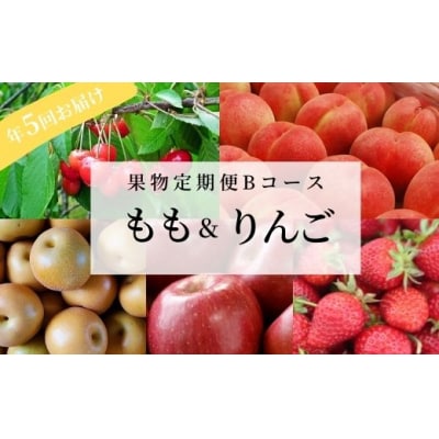  くだもの定期便【Bコース/全5回】【2025年発送】No.2512