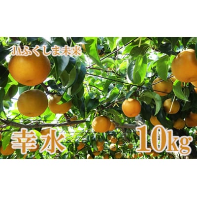  なし　特秀「幸水」約10kg【2025年発送】No.2517