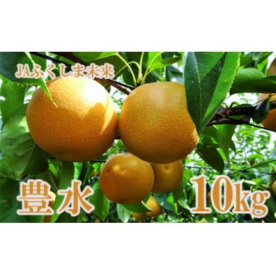  なし　特秀「豊水」約10kg【2025年発送】No.2519